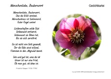 Menschenliebe-Zauberwort-Kempner.pdf